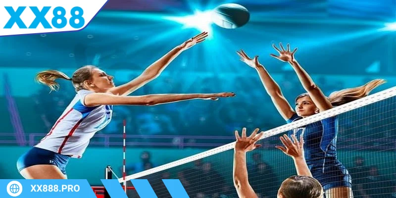 Cá cược bóng chuyền
