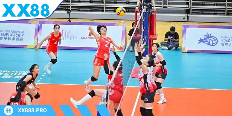 cá cược bóng chuyền