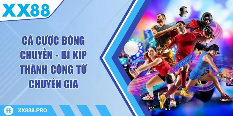 Cá Cược Bóng Chuyền