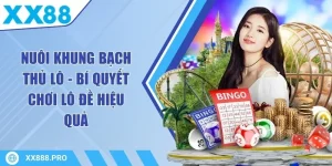 Nuôi Khung Bạch Thủ Lô